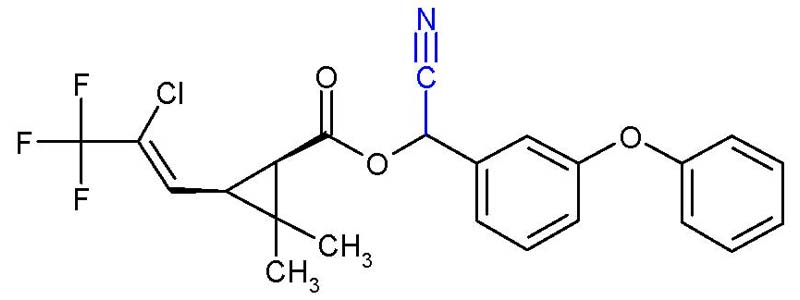 سی هالوترین